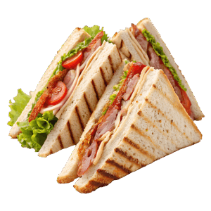 Club Sandwich Special